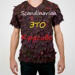 Футболки Scandinavian (Solid,Icemen,Selected)